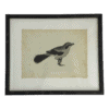 Bird Prints, Set of 4 - Image 2