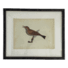 Bird Prints, Set of 4 - Image 4