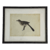 Bird Prints, Set of 4 - Image 5