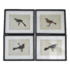Bird Prints, Set of 4