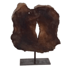 Live Edge Wood Segment