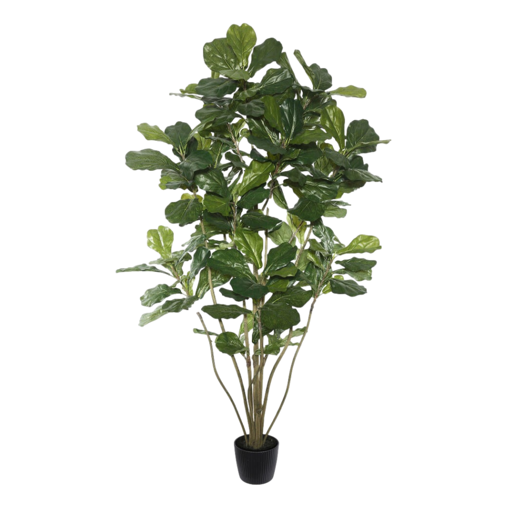 Faux Rubber Tree 84"