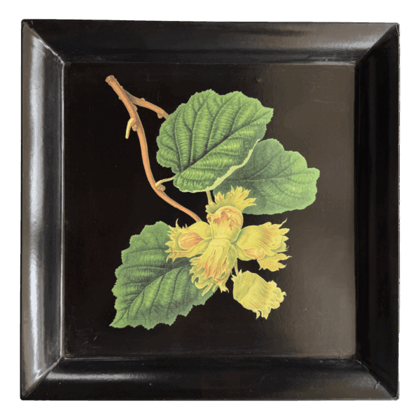 Hazelnut Tray